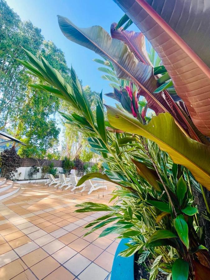 Beachview Apartments At Villa Paradiso Palm Cove Eksteriør bilde